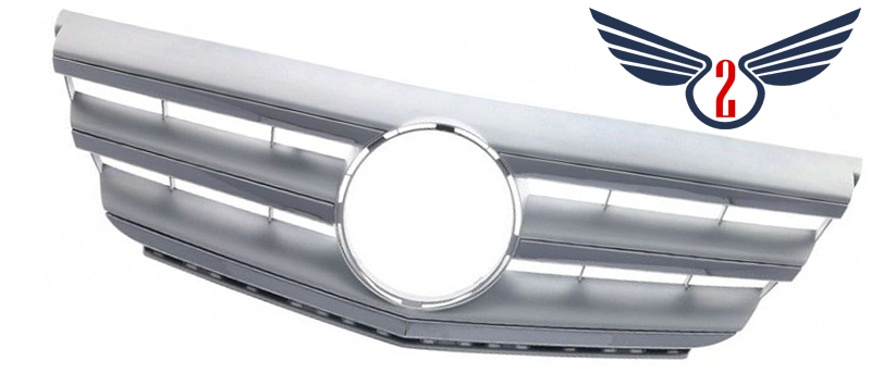 Решітка в бампер Mercedes W245 2009-2011 B-CLASS